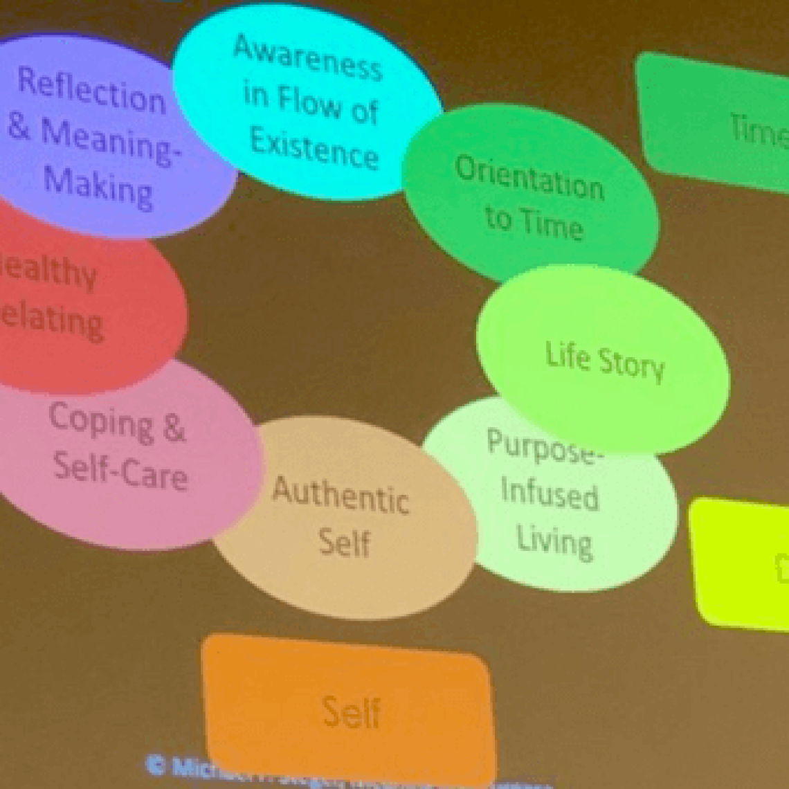 Positive Impact Blog A Meaningful IPPA World Congress feature image