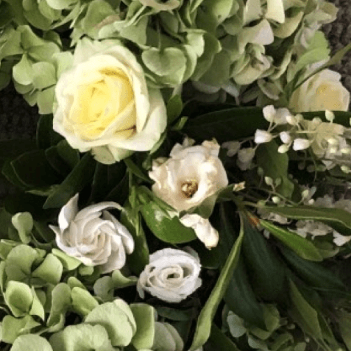 Positive Impact Blog Dear Departed Souls feature image